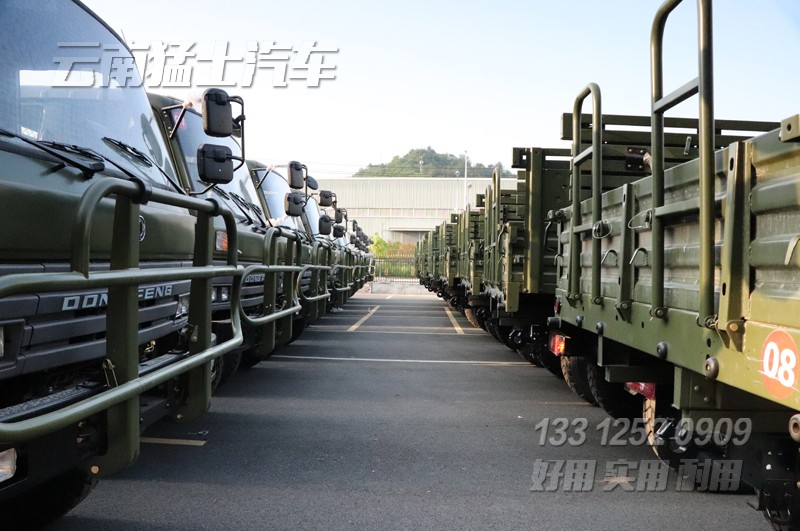 東風(fēng)卡車(chē)出口,EQ2102G,東風(fēng)六驅(qū)卡車(chē),越野卡車(chē),東風(fēng)經(jīng)典車(chē)型,3.5噸貨車(chē)